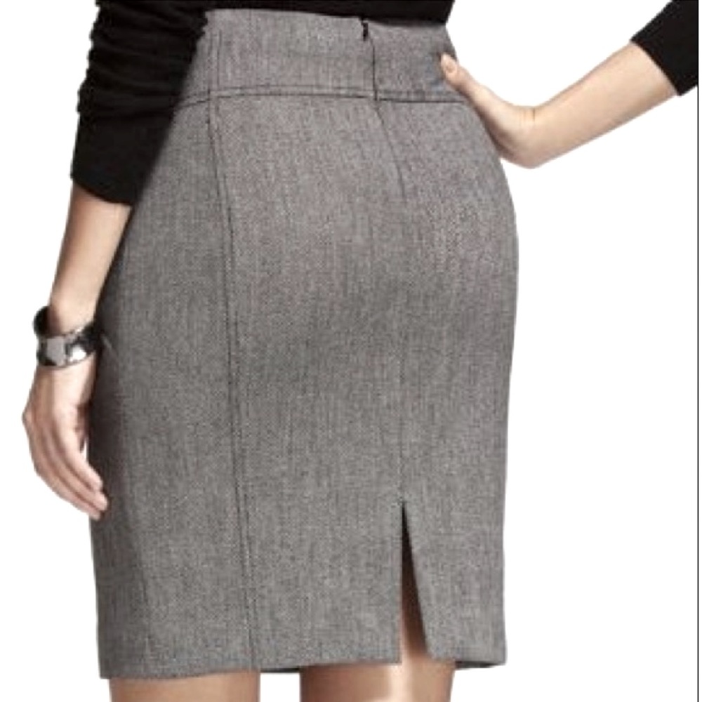NWT Express Skirt